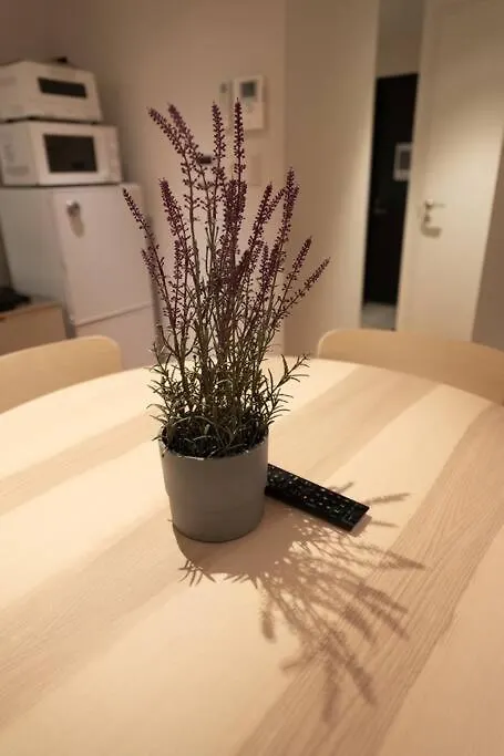 アンドステイ東向島6丁目302 Apartment Tokyo Japan